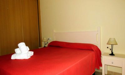 Primera planta en Coto Sancti Petri